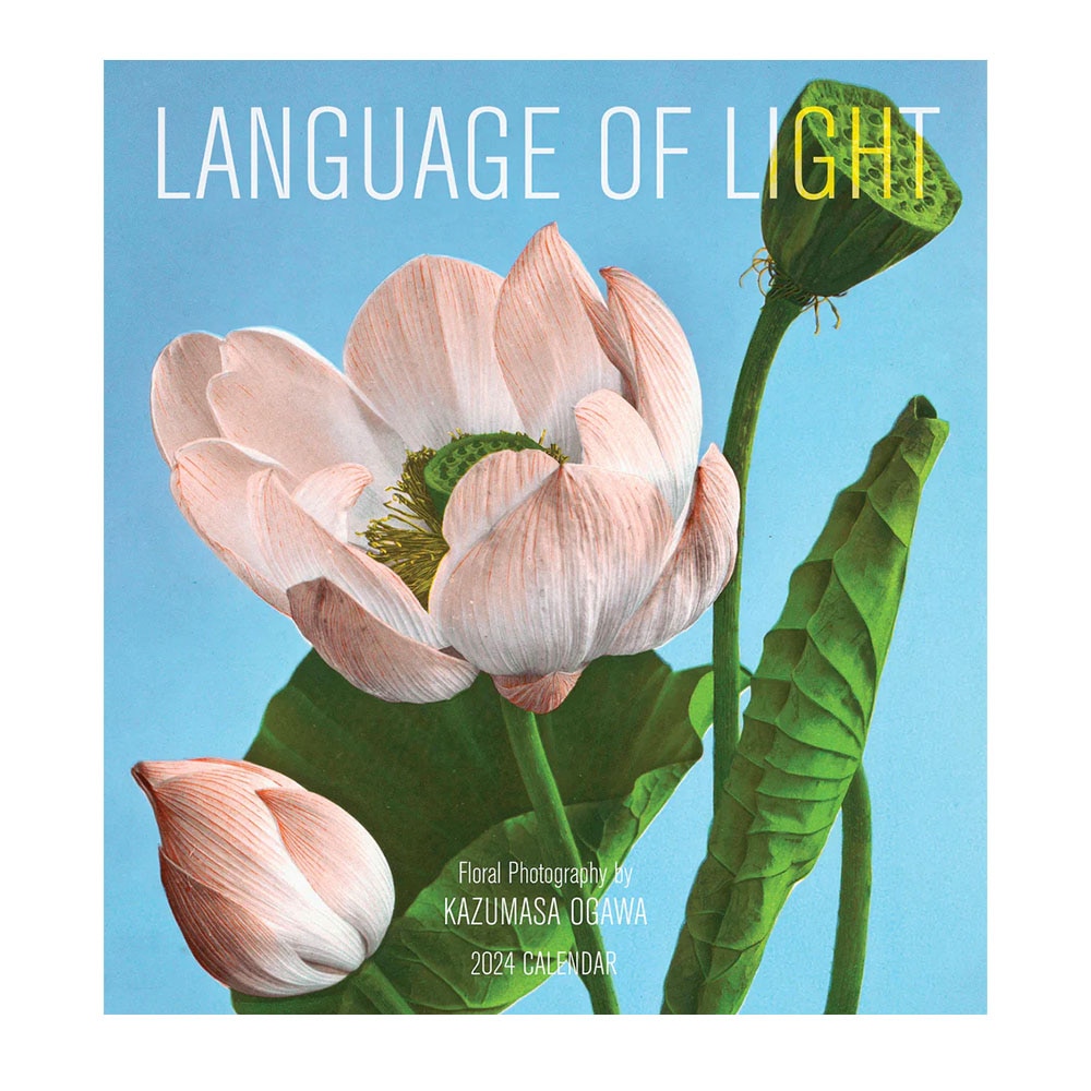 Pomegranate 2024 Wall Calendar Language of Light